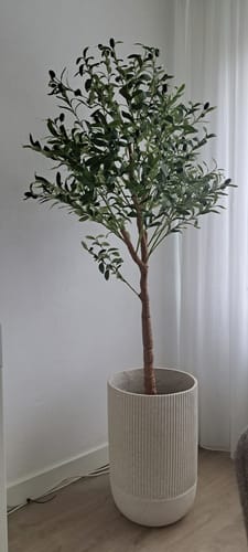 Customer photo review of Kunst Olijfboom 150cm