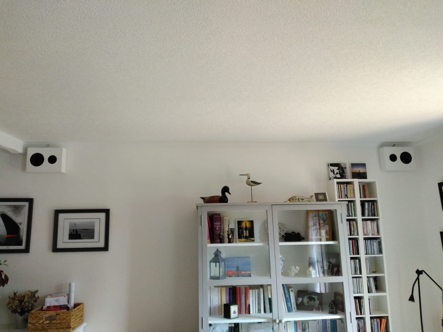 Customer photo review of FORUS 4 WALL