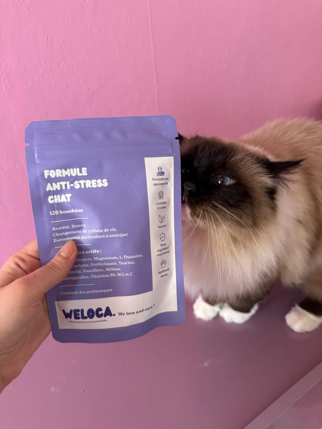 Customer photo review of Complément anti-stress  | Chat