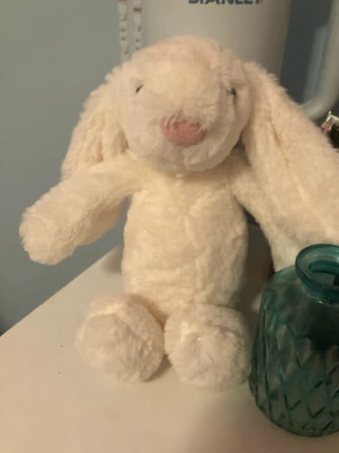 Customer photo review of Bunny Plush Toys