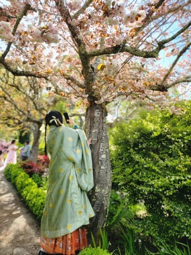 Customer photo review of Yulan Ying 玉兰影 Magnolia Shadow Ming Dynasty Spring Summer Hanfu