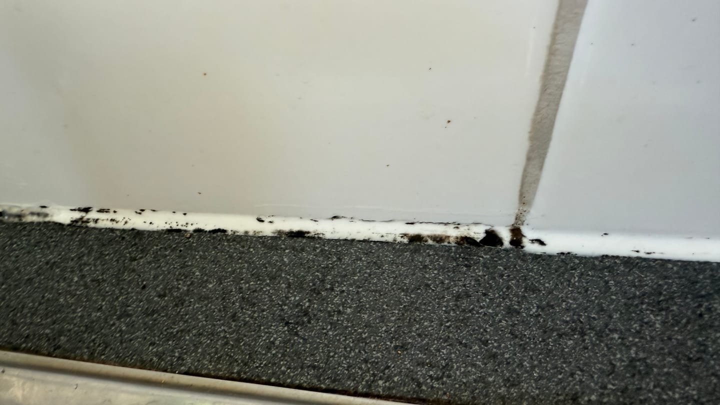 Customer photo review of GLASSGUARD™ Glass Restoration Stain Remover Diamond Edition