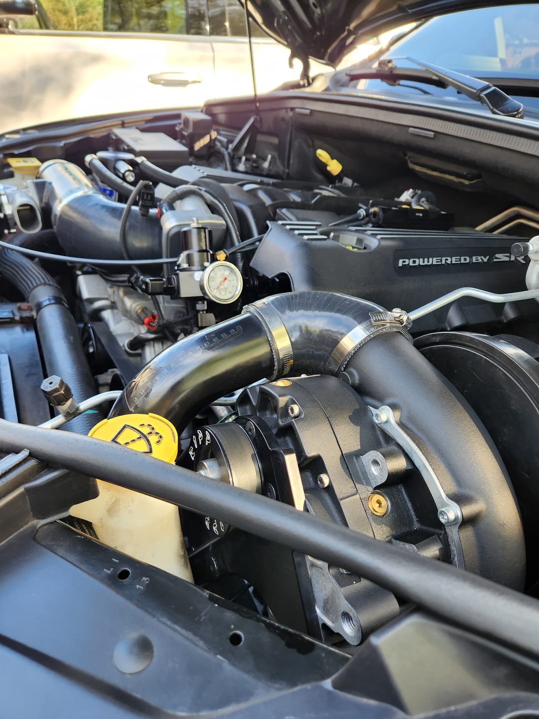 Customer photo review of Vortech V3 Blower Oil Three-Pack 4-oz Bottles