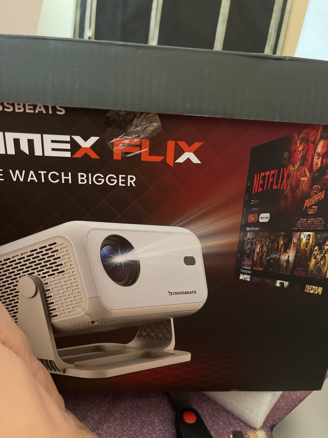 Customer photo review of Lumex Flix