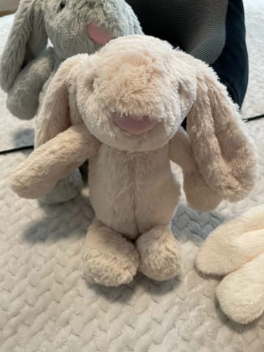 Customer photo review of Bunny Plush Toys