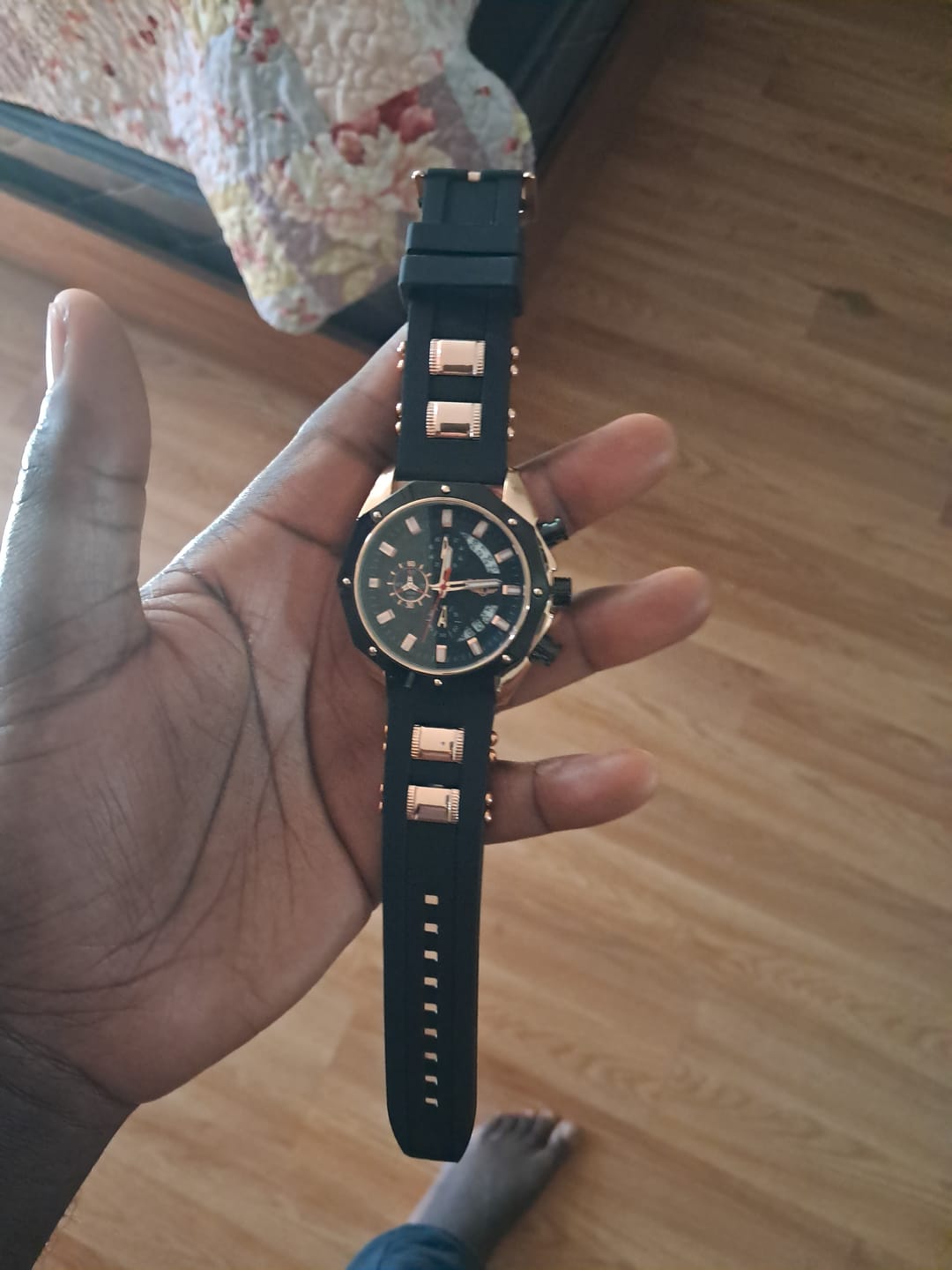 Customer photo review of Eleganto Pegasus