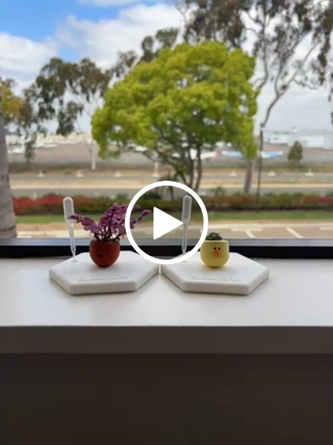 Customer video review of Chick Magnet