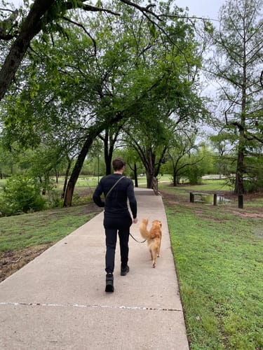 Customer photo review of Biothane Traffic Handle Dog Leash