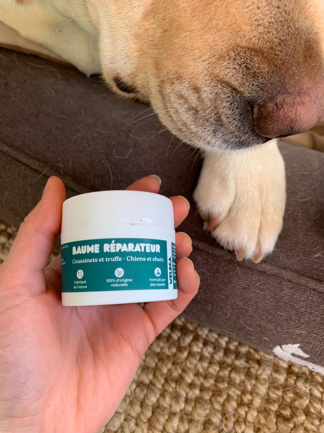 Customer photo review of Baume réparateur | Chiens et chats