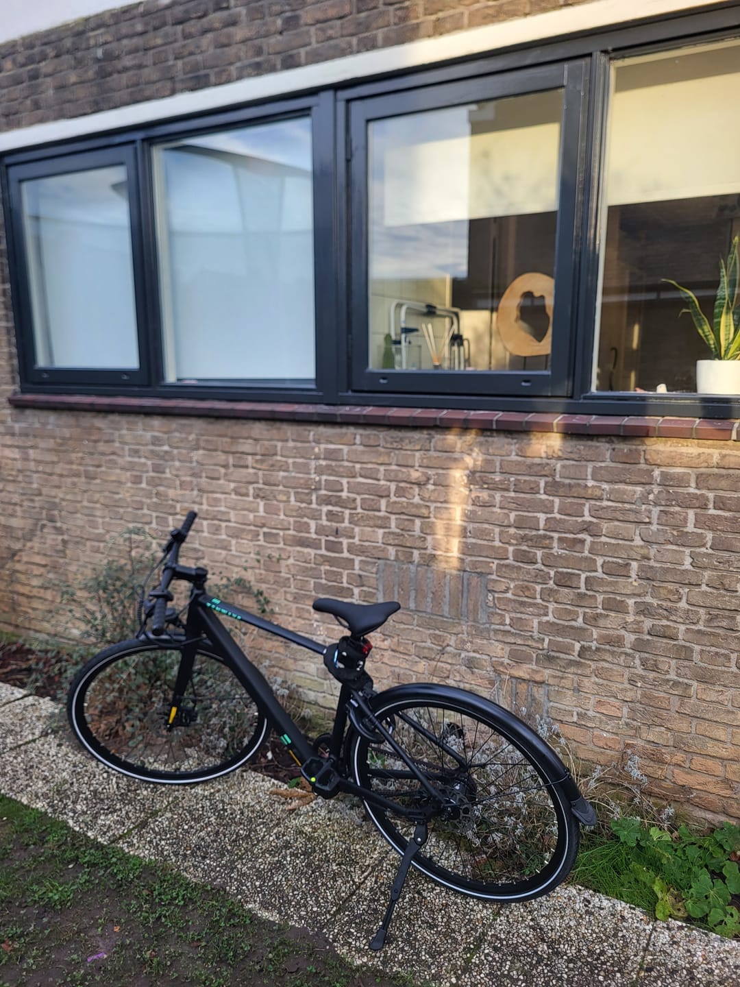 Customer photo review of TENWAYS CGO600