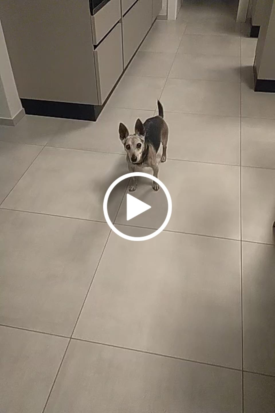 Customer video review of ProtectionArtro+
