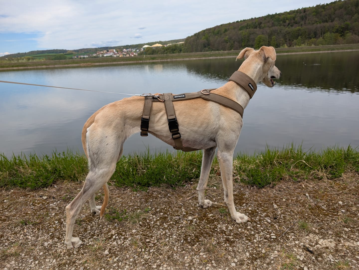 Customer photo review of Sicherheitsgeschirr FUN "Golden Sand"
