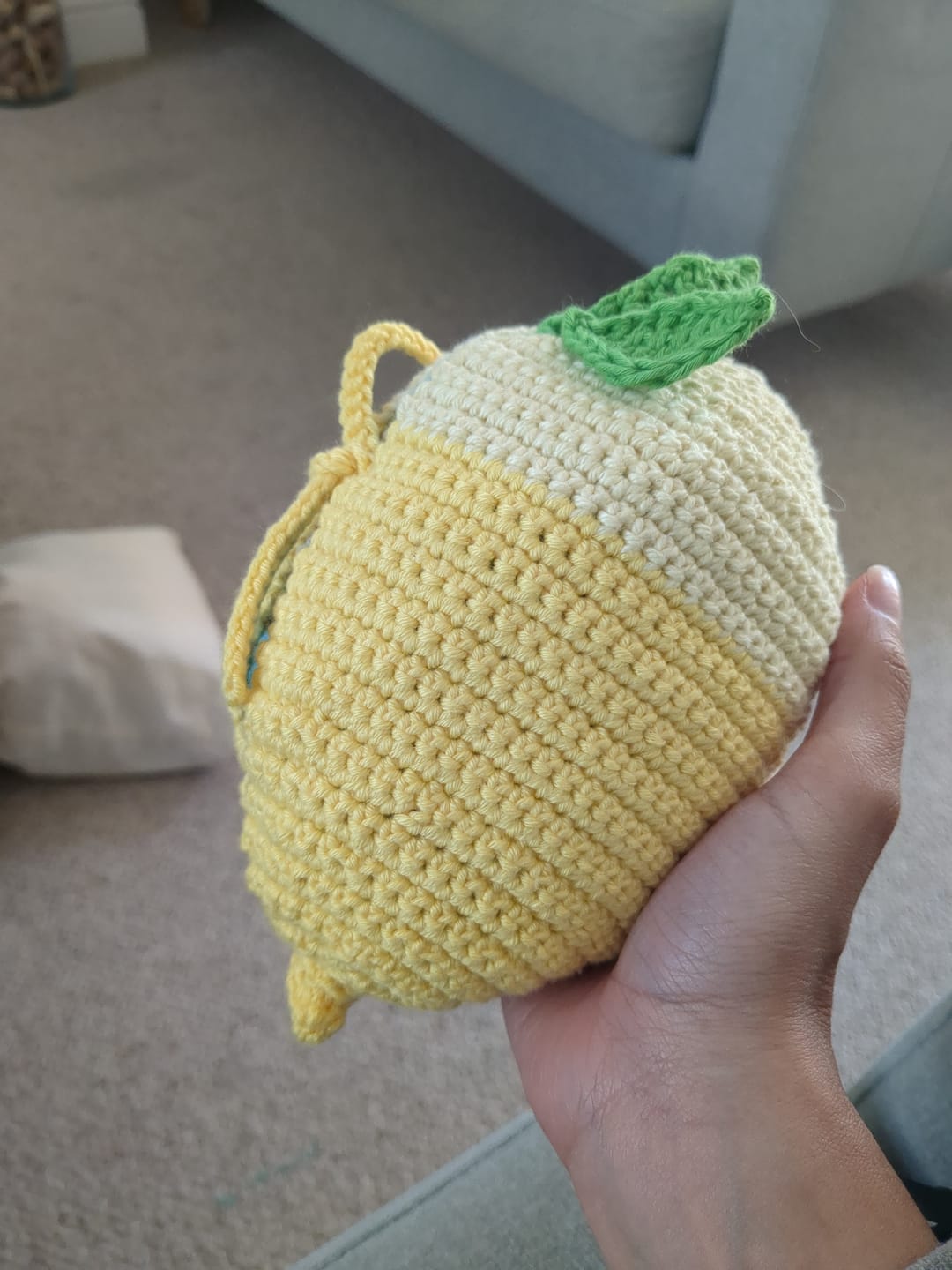Customer photo review of Limonata Shopper Kit or Pattern