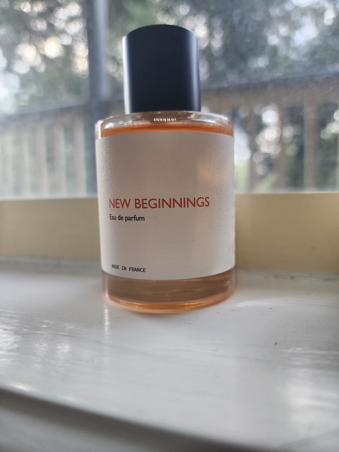 Customer photo review of New Beginnings