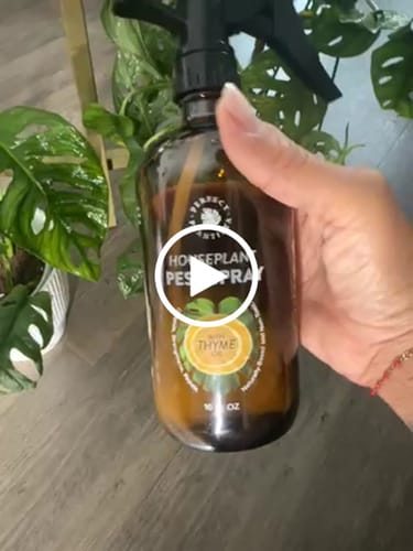 Customer video review of Houseplant Pest Spray