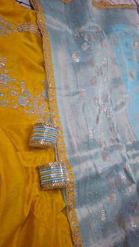 Customer photo review of Honeydew Heaven Dola Silk Banarasi Saree