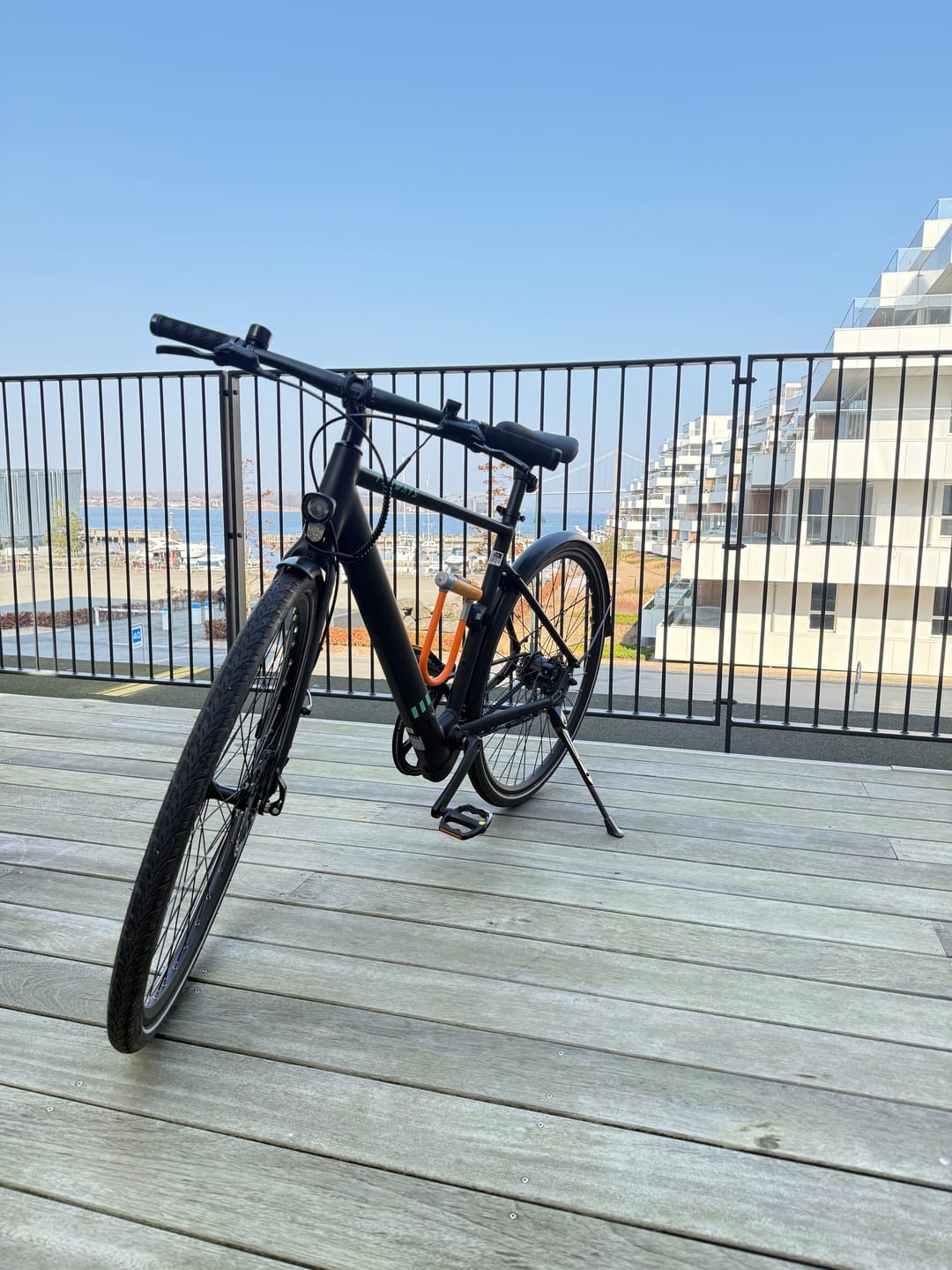 Customer photo review of TENWAYS CGO600