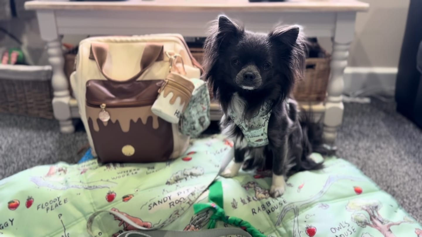 Customer photo review of Disney© Treat Pouch - Hunny Pot