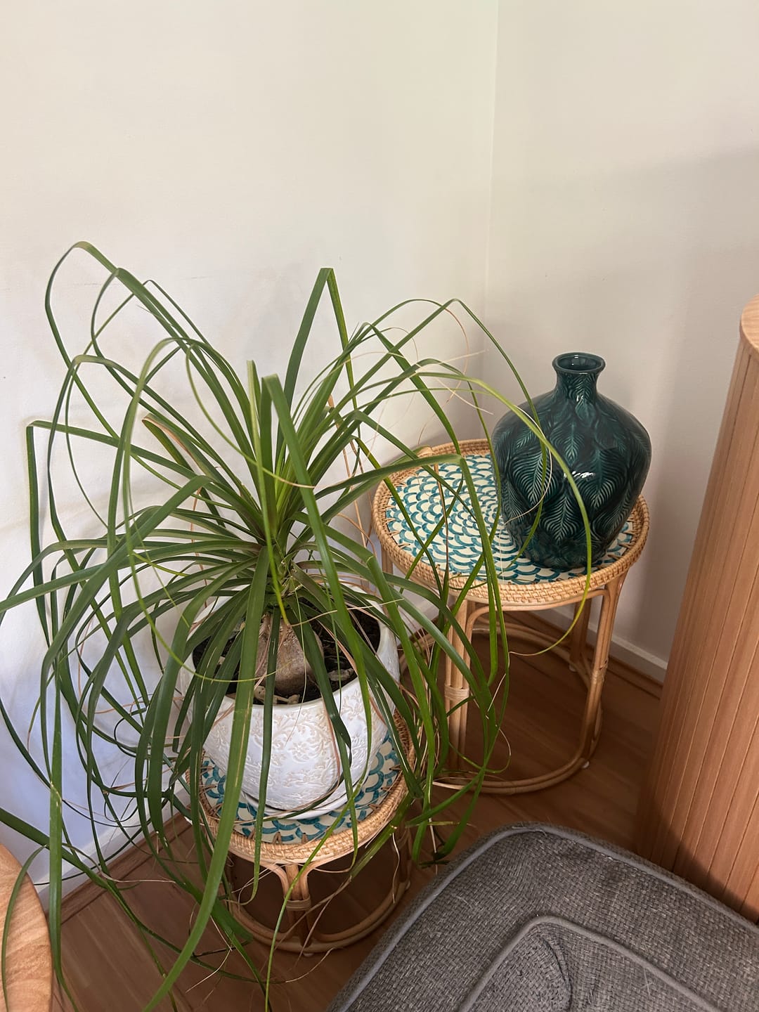 Customer photo review of Bloom Rattan Table Set