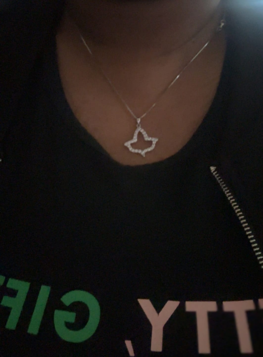 Customer photo review of Alpha Kappa Alpha Ivy Leaf Outline Silver Necklace (P014)