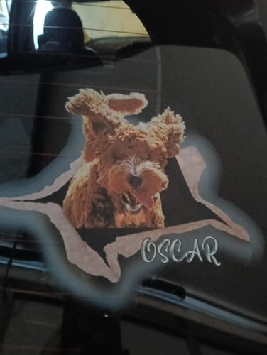 Customer photo review of Personalized Pet lover Crack Car Sticker