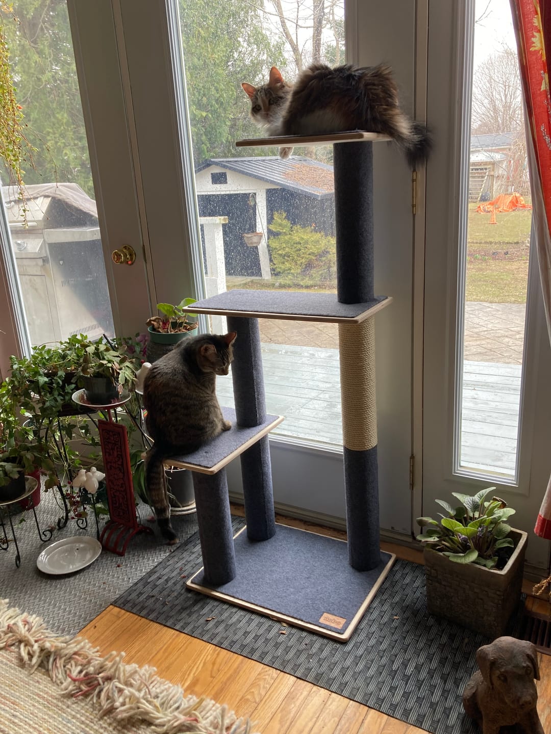 Customer photo review of Noba Modern Plywood 3-Level Cat Tree