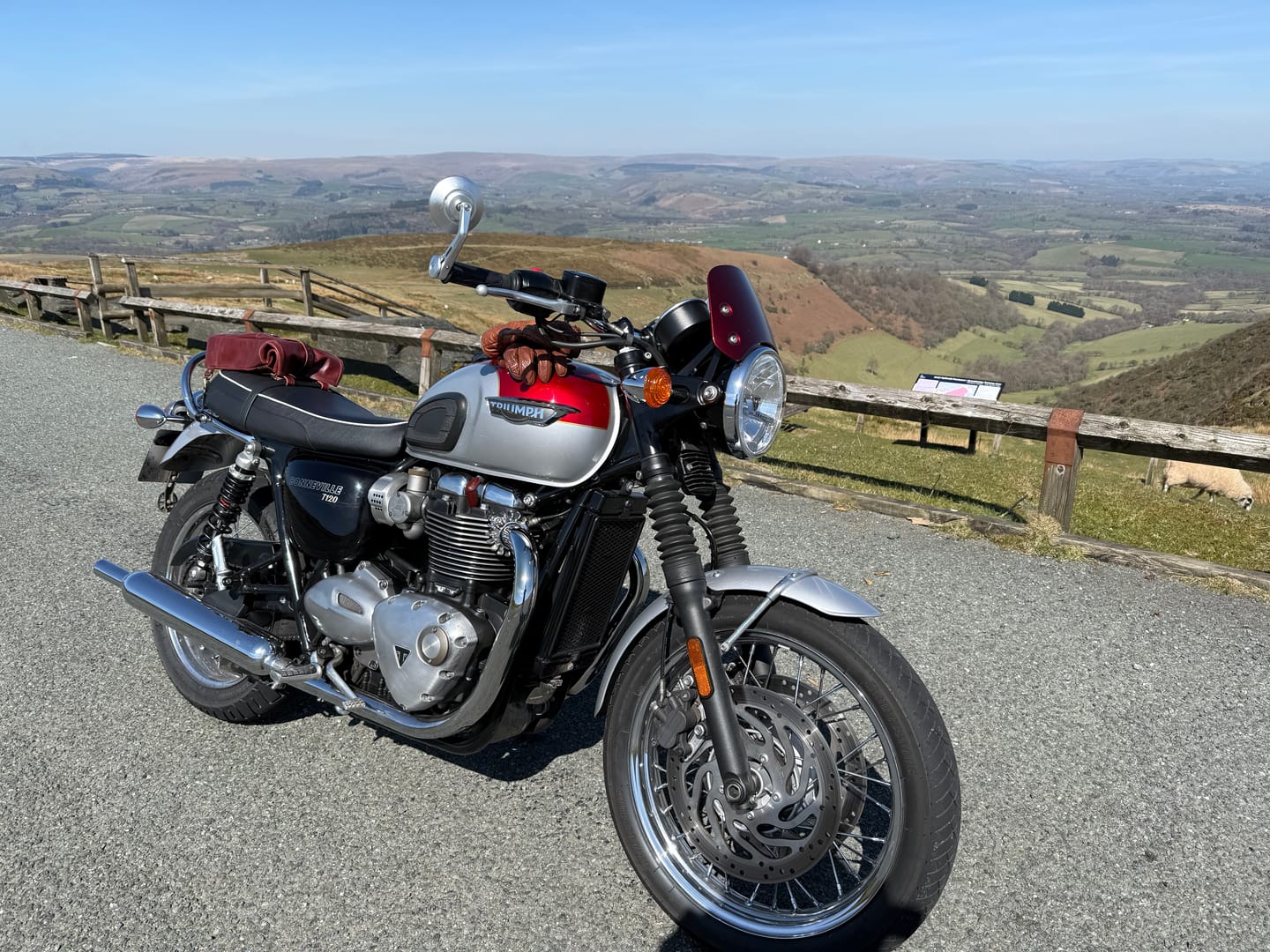 Customer photo review of mini pannier