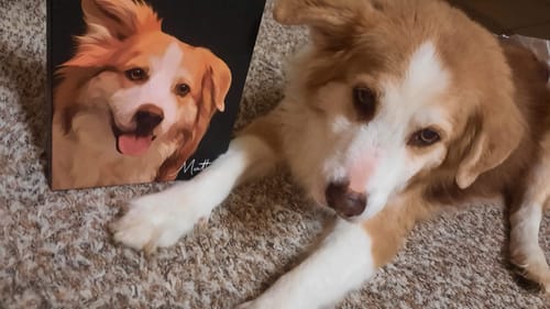 Customer photo review of Pet Art Canvas Wrap