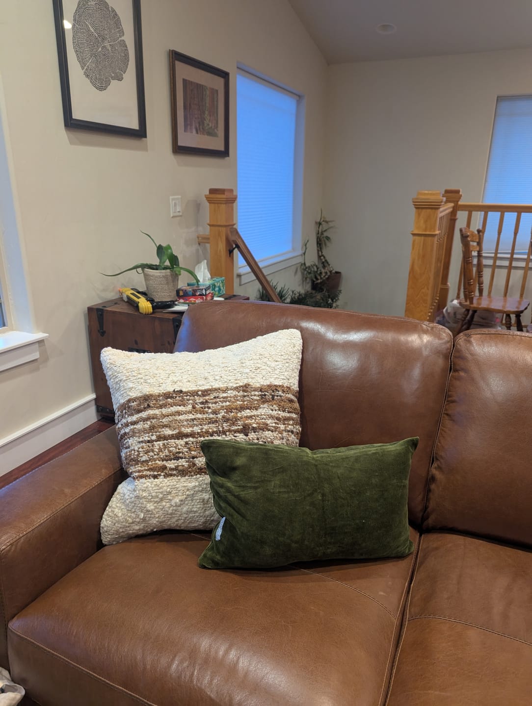 Customer photo review of Premium Faux Down Insert (8 Sizes Available)