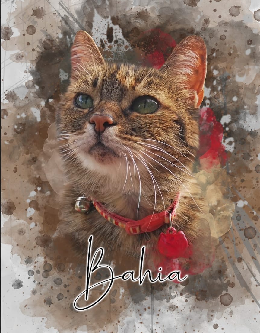 Customer photo review of Portrait Aqua Art