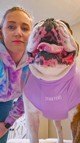 Customer photo review of Sunblock Dog T-Shirt - Blue