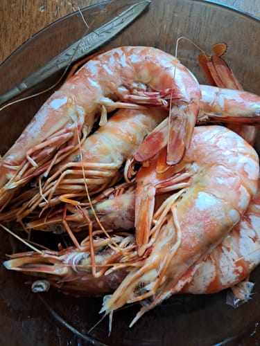 Customer photo review of Raw Australian Tiger Prawns (Jumbo)