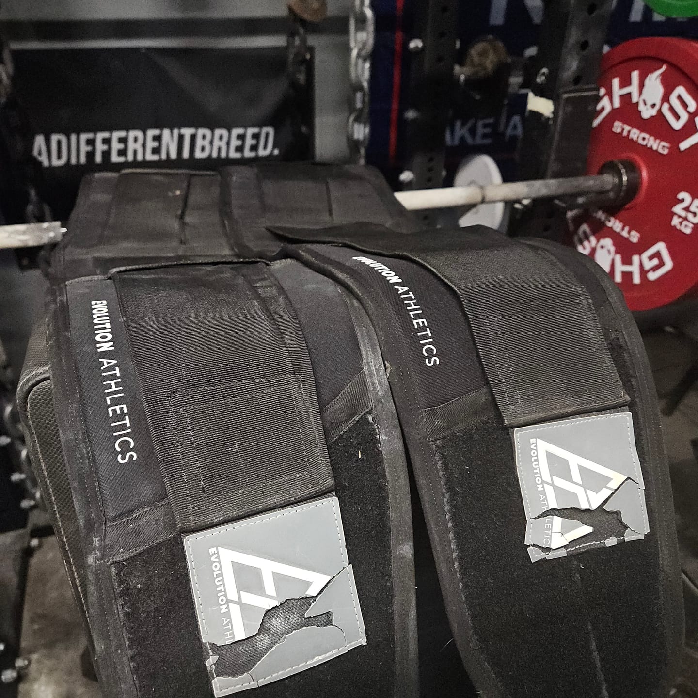 Customer photo review of Evolution Support Belt