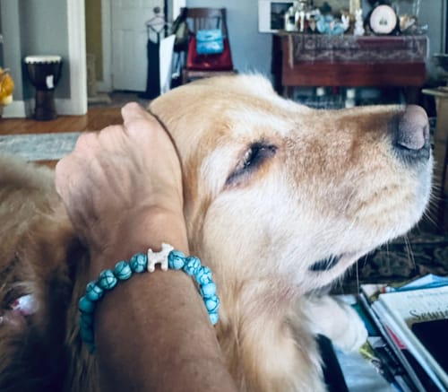 Customer photo review of STRĀ Dog Beaded Bracelet