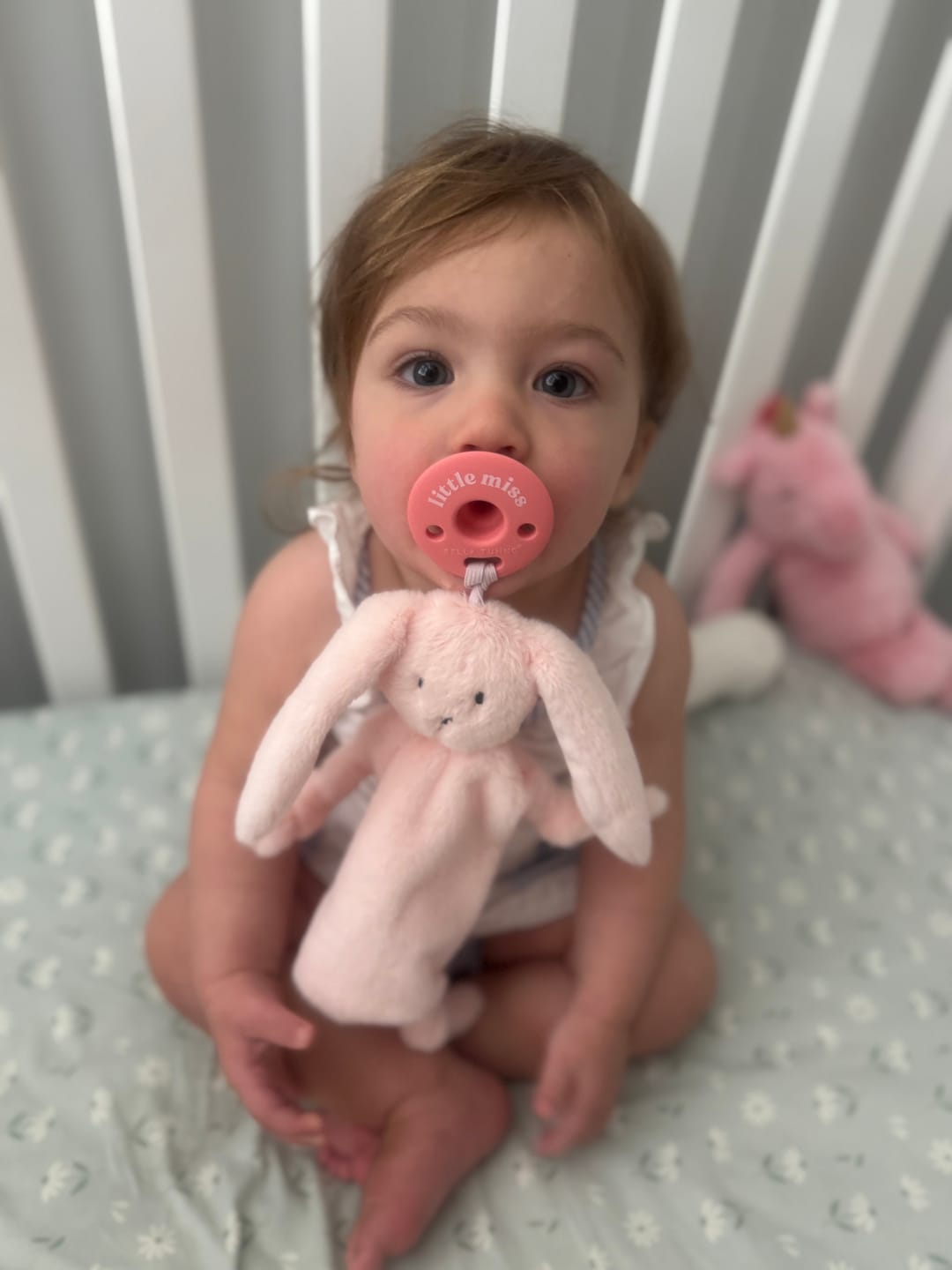 Customer photo review of Pacifier Buddy Betty the Bunny