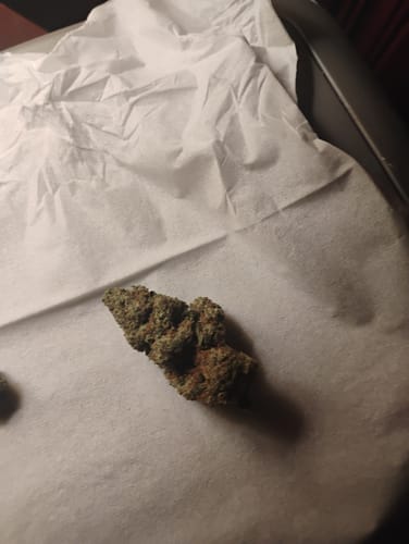 Customer photo review of Berry White  - 14 Grams Full Size Bud - Indica