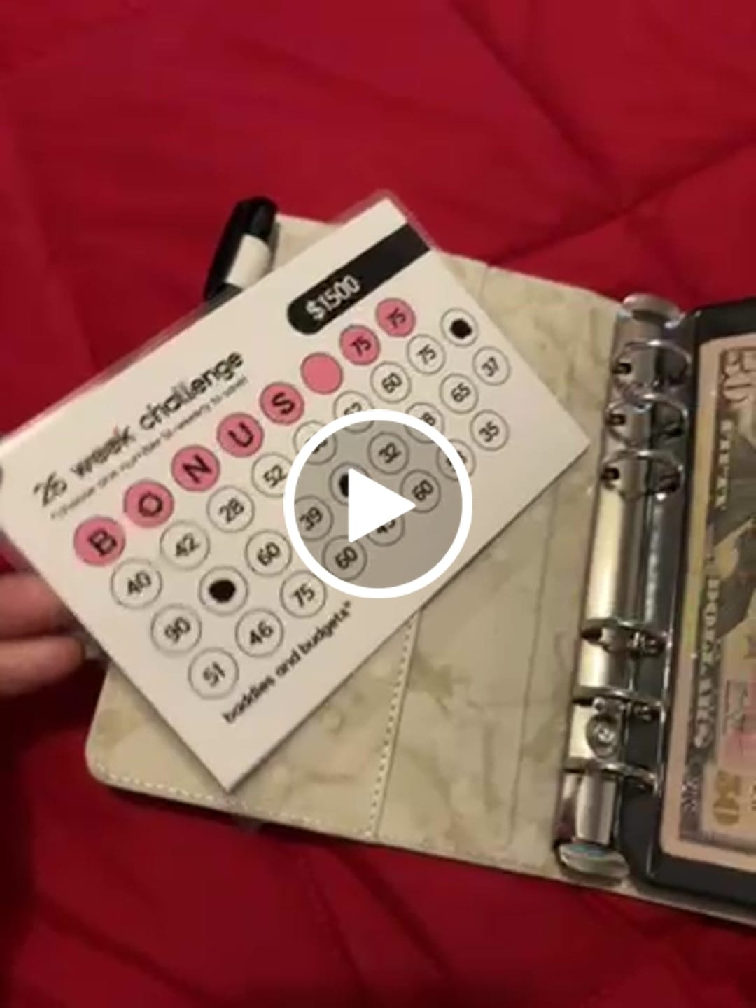 Customer video review of The 26 Week Challenge