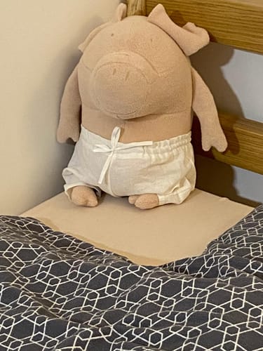 Customer photo review of HELMUT, LE COCHON - GRAND