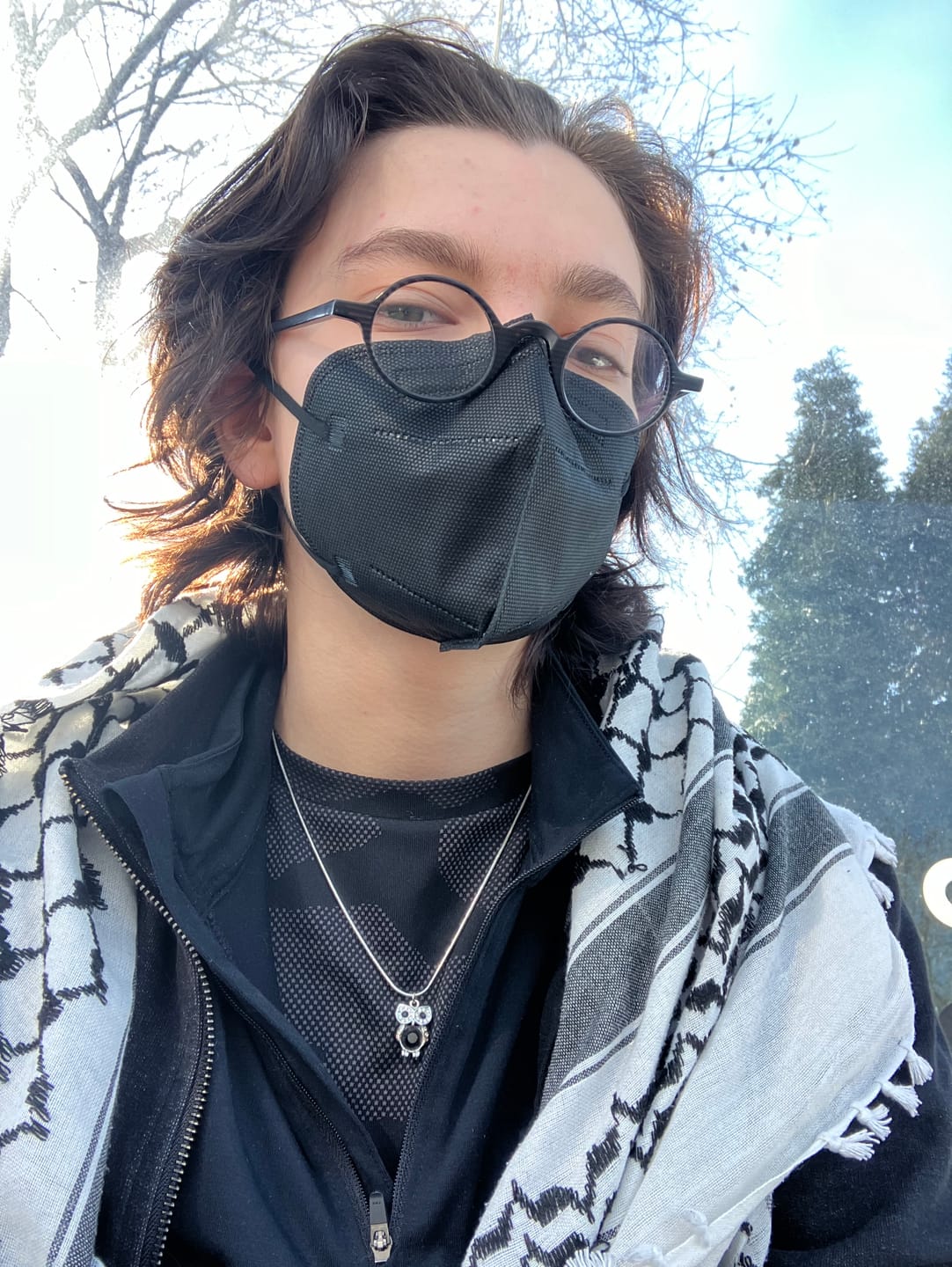 Customer photo review of KN95 Respirator Face Mask Individually Sealed (Cone Shape)