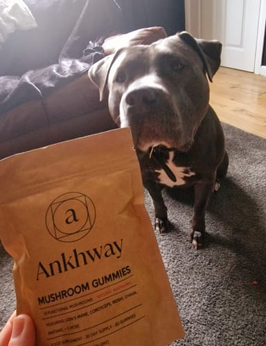 Customer photo review of Mushroom Gummies