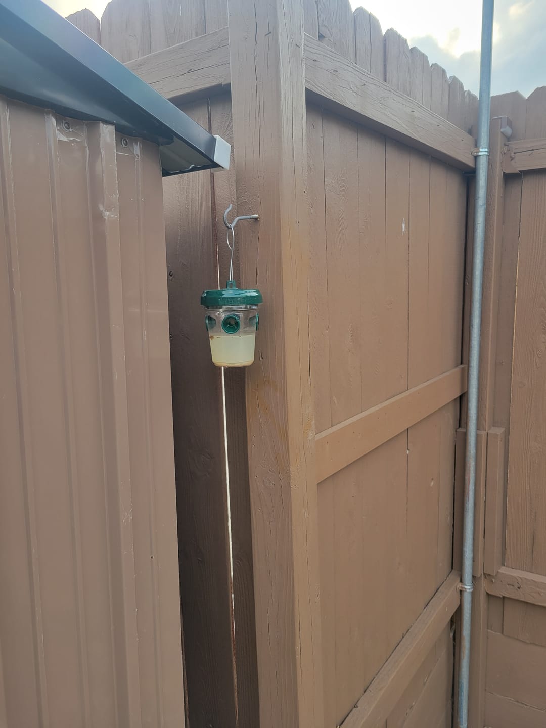 Customer photo review of Mosquito TNT 2.0