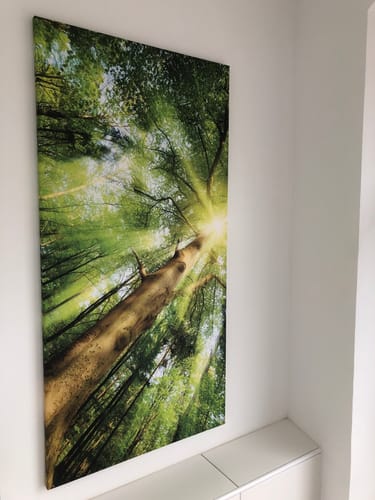 Customer photo review of Leinwandbild | Im frischen grünen Wald | Hochformat