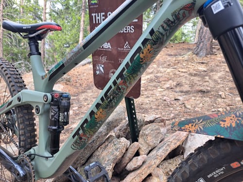 Customer photo review of Botanic Revival Frame Keeper