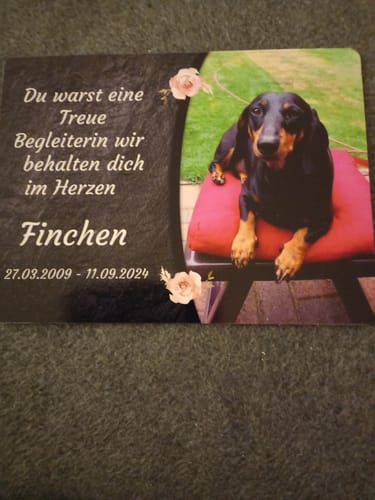 Customer photo review of Hunde Gedenktafel mit Foto & Spruch (UV- & Wetterfest)
