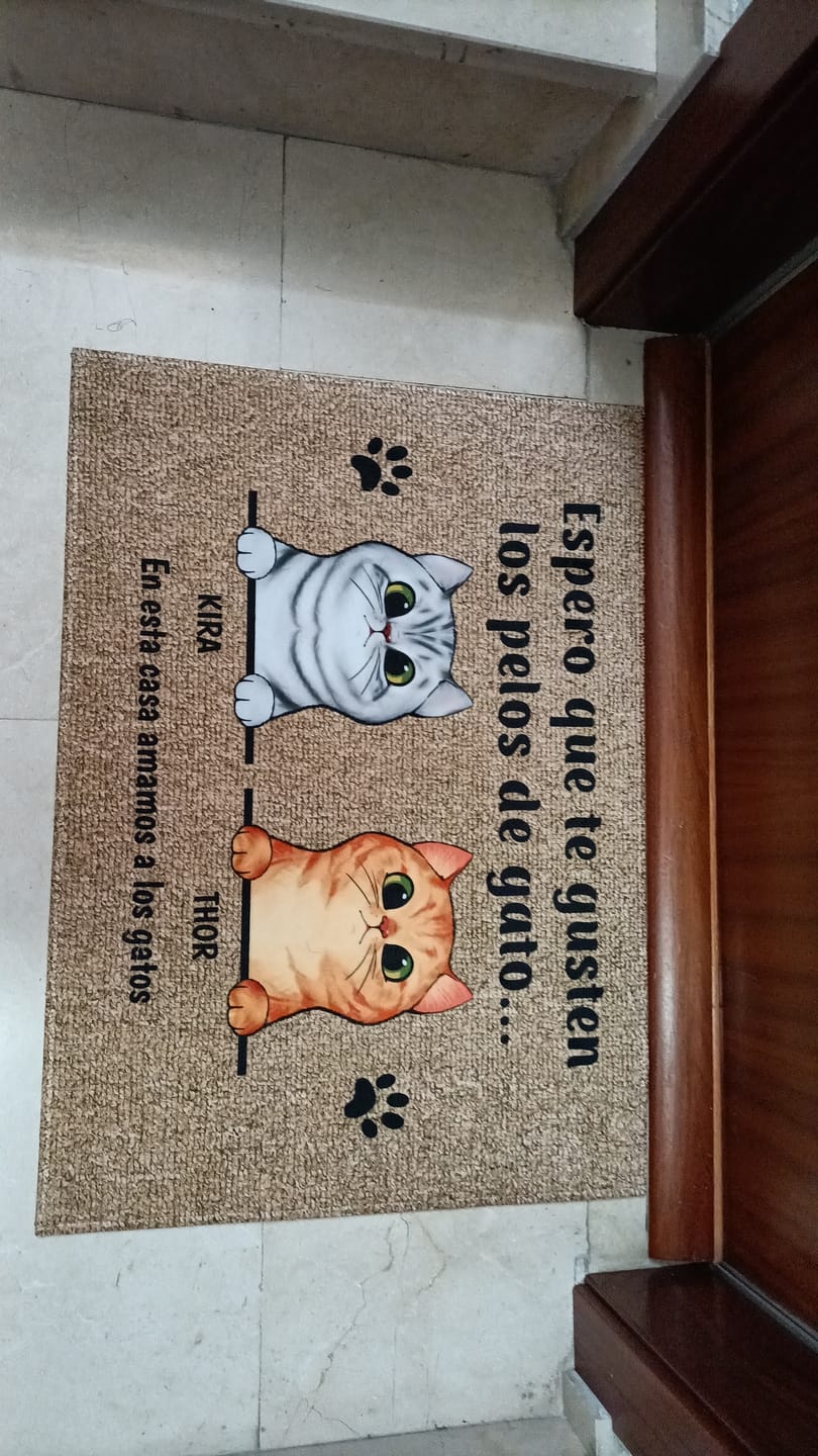 Customer photo review of Bienvenidos a lo de gatos curiosos - Felpudo personalizado