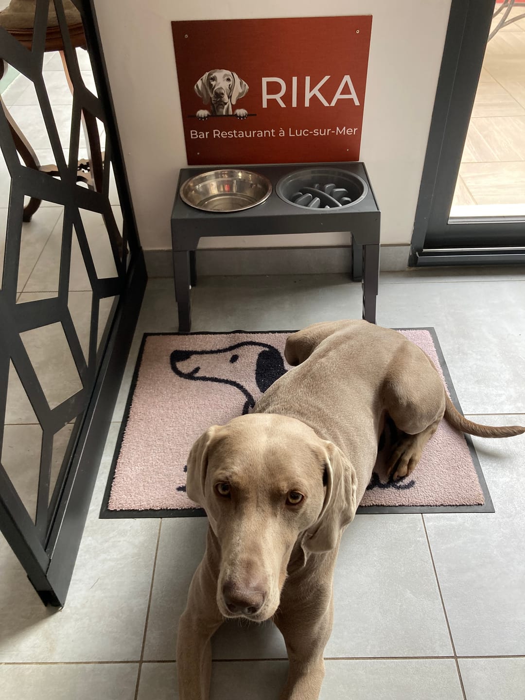 Customer photo review of Chiens curieux et numéro de maison - Plaque de porte personnalisée
