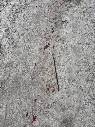 Customer photo review of Beast Broadheads - 3 Pack