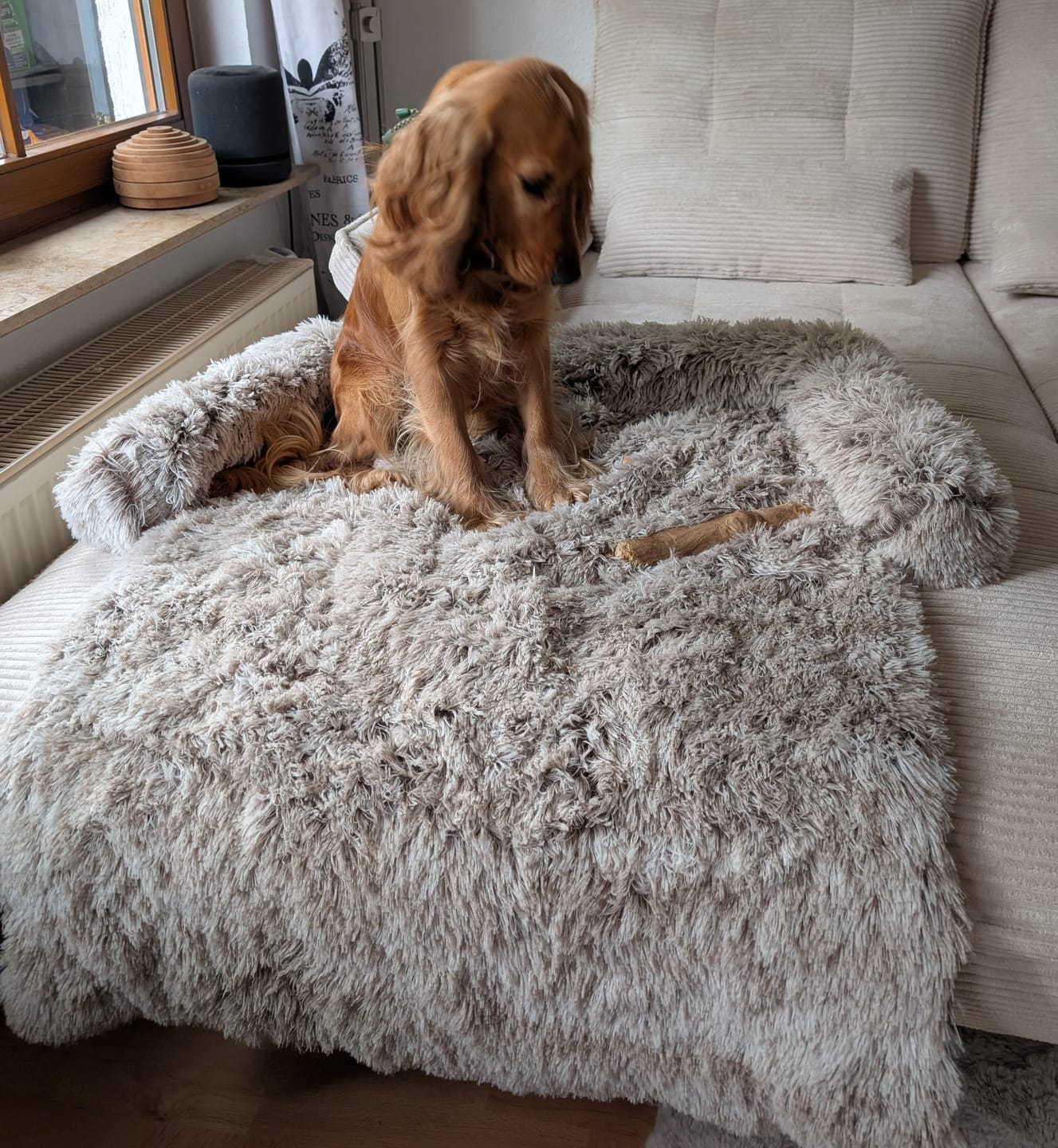 Customer photo review of Emmalove - Flauschiges Hundebett für dein Sofa
