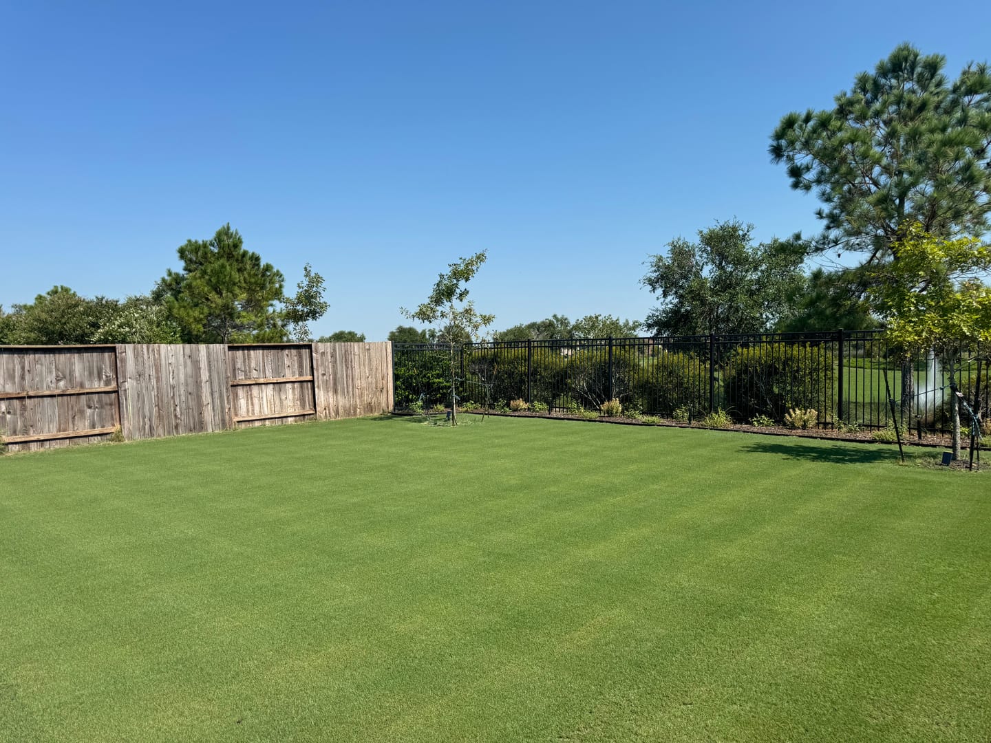 Customer photo review of CarbonizPN®-G Granular Soil Enhancer
