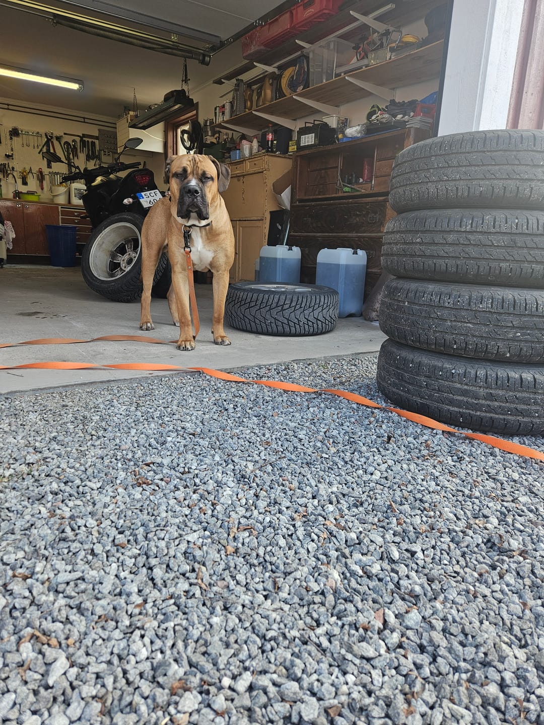 Customer photo review of Spårlina 10 m och 15 m - 16 olika färger
